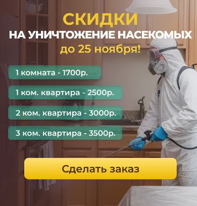 Уничтожение насекомых