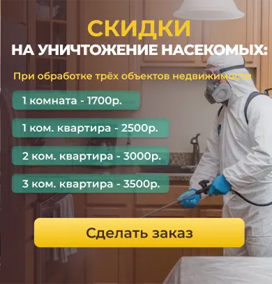 Уничтожение насекомых